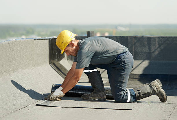 Best Insulation Removal  in Exeter, PA